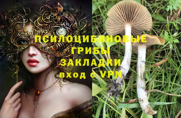 твердый Краснослободск