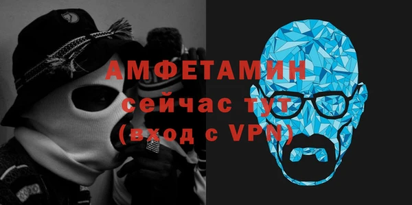 твердый Краснослободск