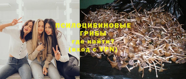 гашик Красноперекопск