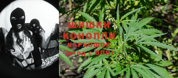 твердый Краснослободск