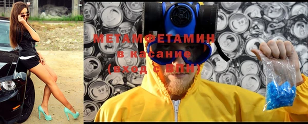 прущие грибы Козельск